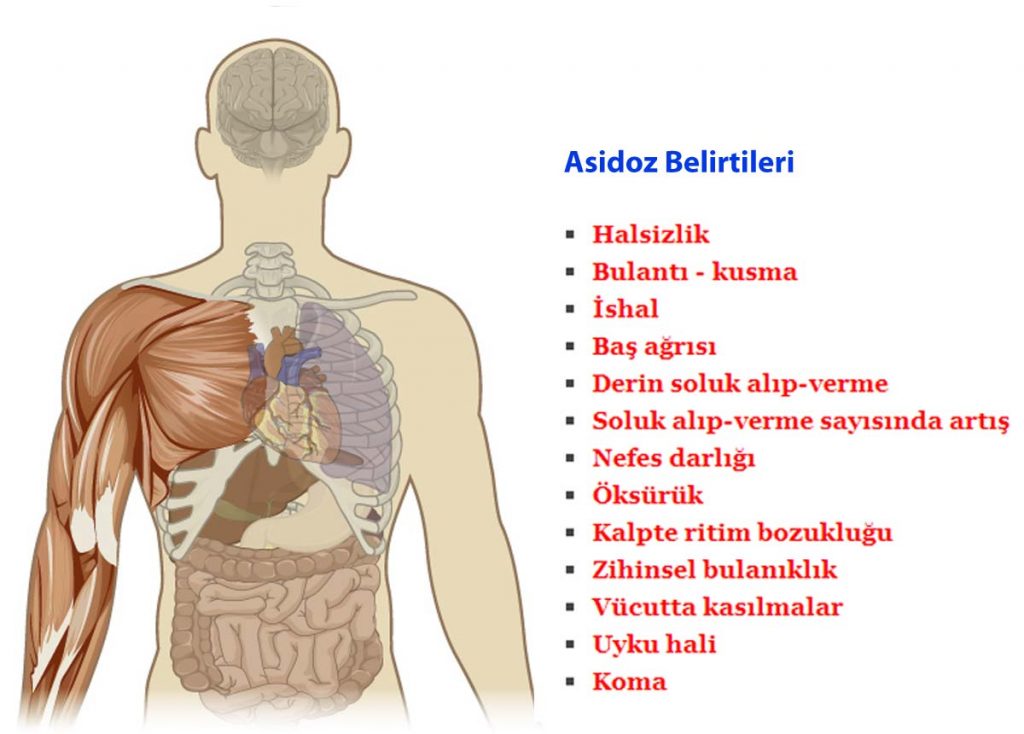 Karbonatın 9 Mucizevi Etkisi Karbonatın 9 Mucizevi Etkisi